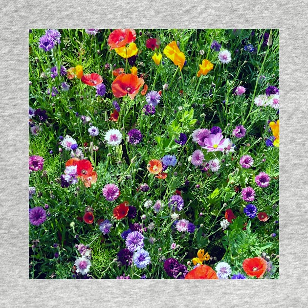 painterly wildflowers 1 by bettyretro